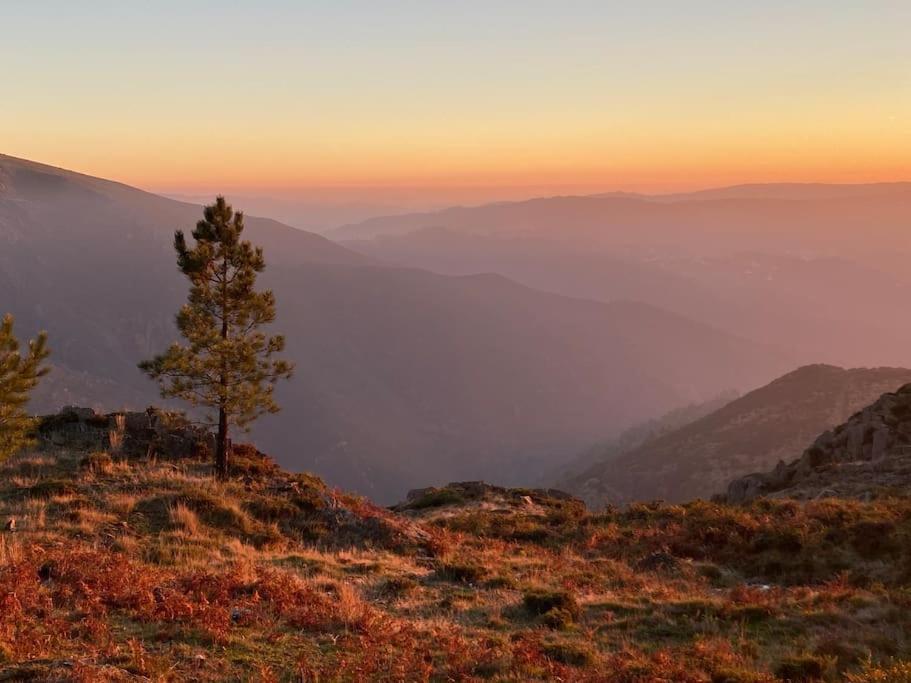 Casa Do Sol - Natureza & Lazer - Serra Da Freita Арока Экстерьер фото
